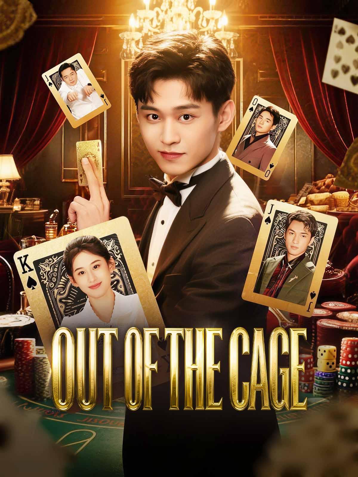 Chinese Drama Out of the Cage with subtitles - poster