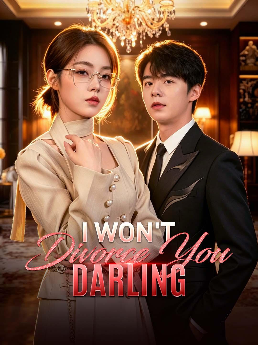 I Won't Divorce You, Darling cover