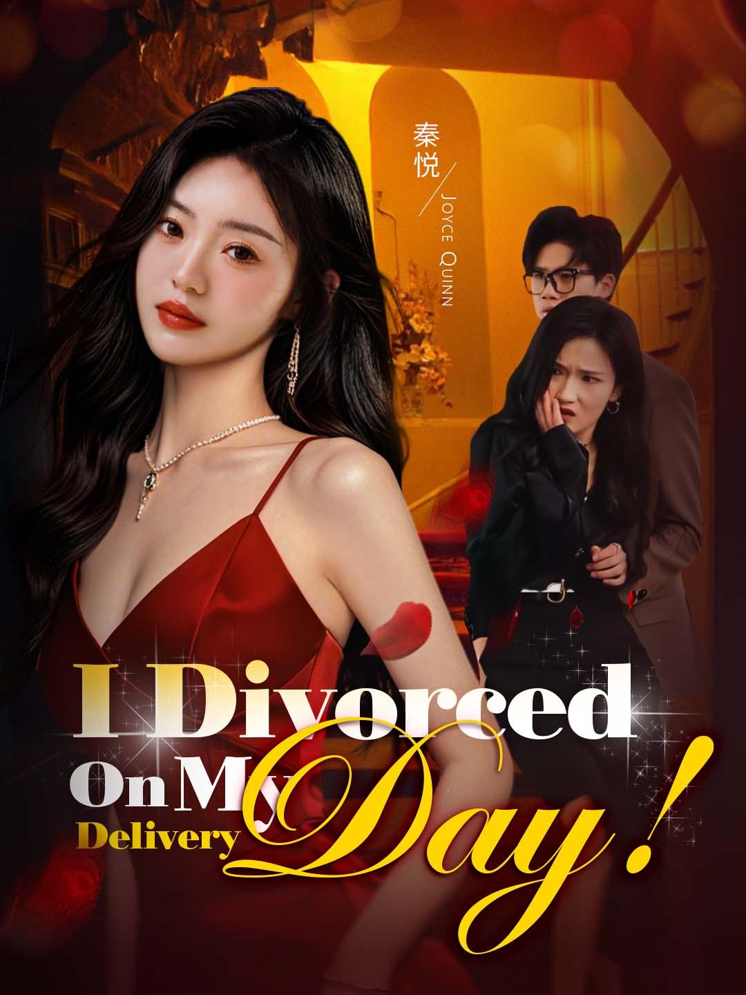 I Divorced on My Delivery Day! cover