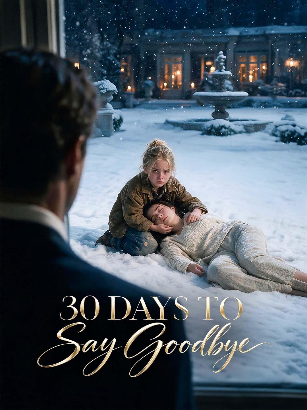 Poster 30 Days to Say Goodbye