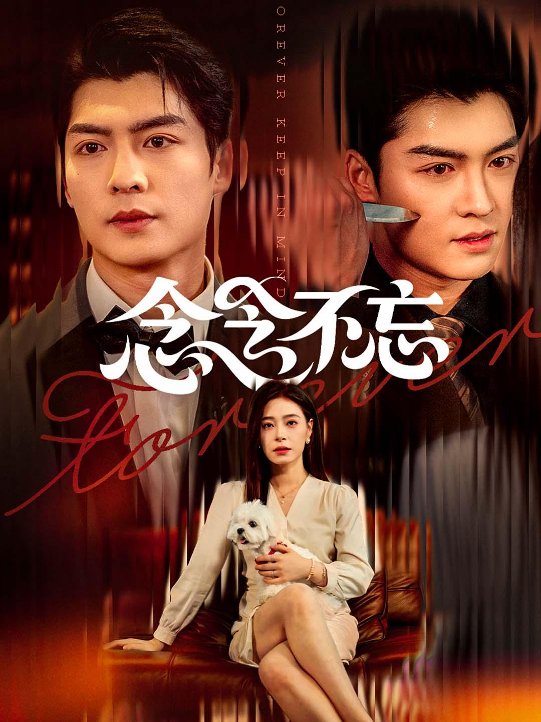 Poster 念念不忘
